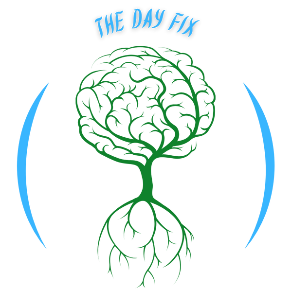 TheDayFix
